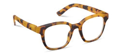 Zinnia Progressives - Tokyo Tortoise