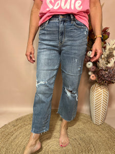 New New Judy Blue Denim Crop