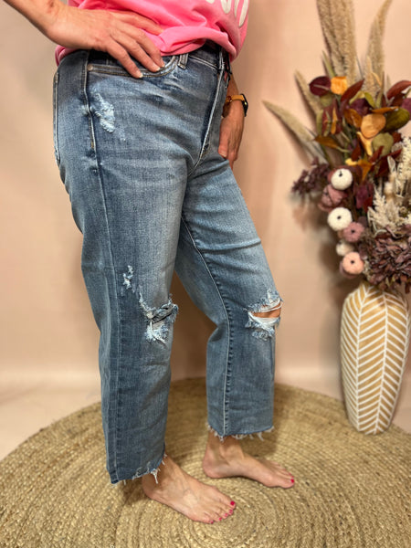 New New Judy Blue Denim Crop