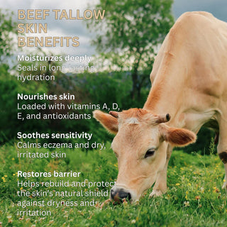 Hearth & Ember Tallow Bar Soap