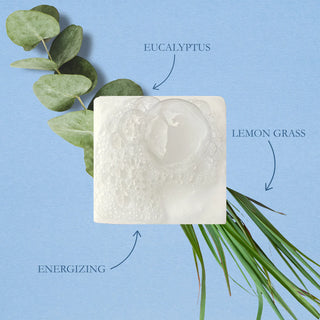 Wild Yonder Tallow Bar Soap